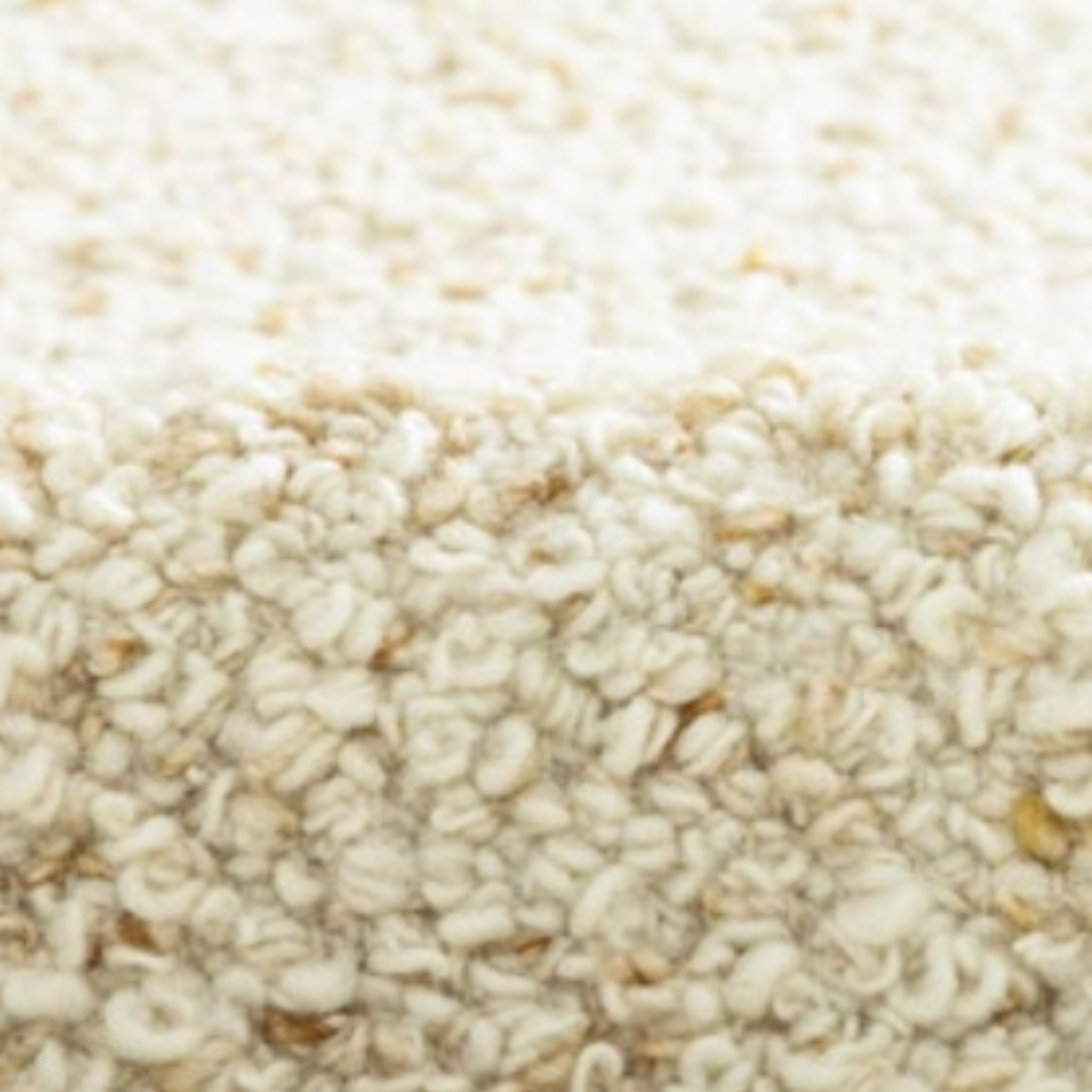 Terra Rug, 02