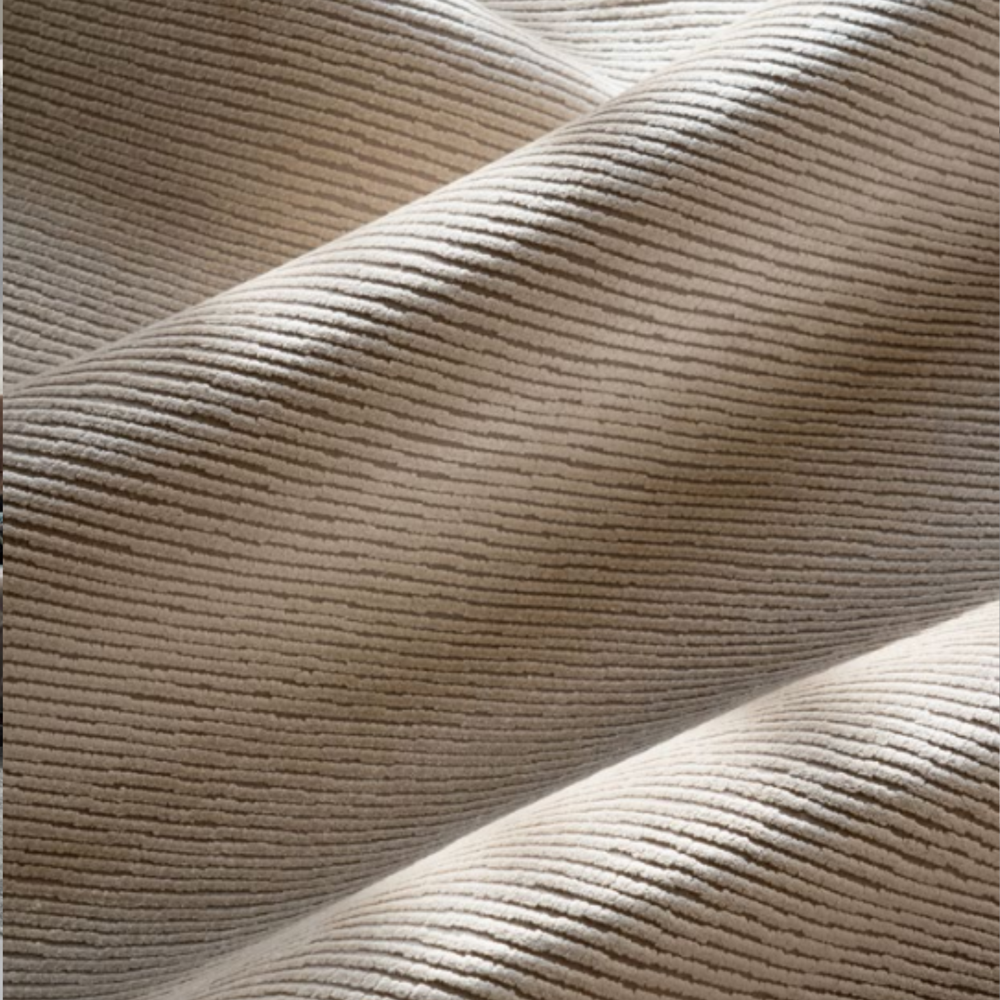Tran Rug, 04