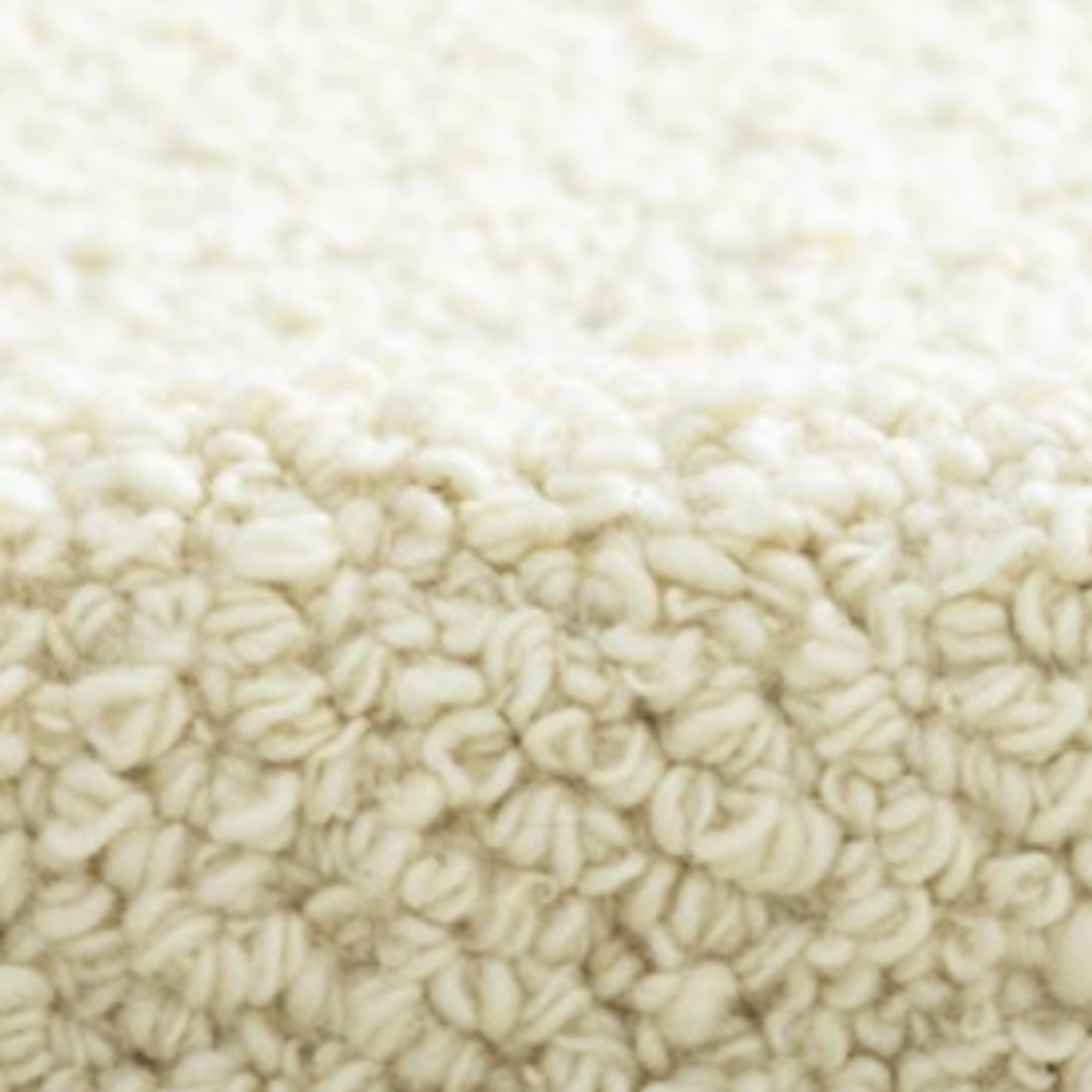 Terra Rug, 01