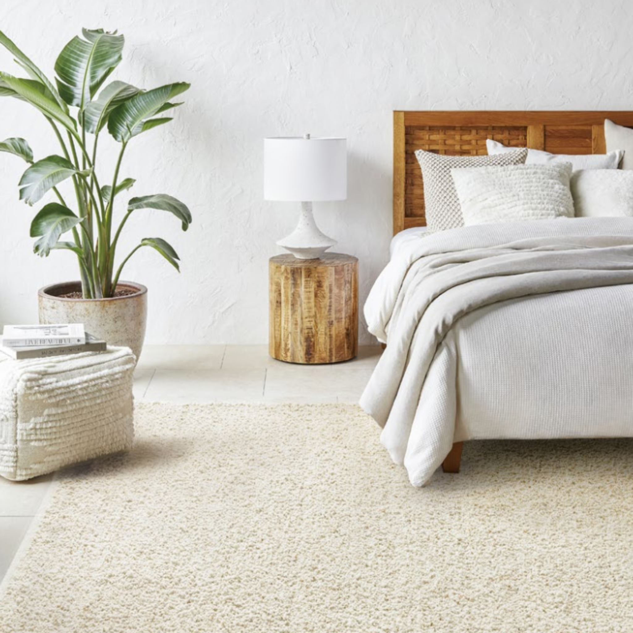 Terra Rug, 04